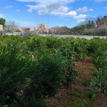 Giardino Delle Arance Luxury Rooms Palermo Dış mekan fotoğraf